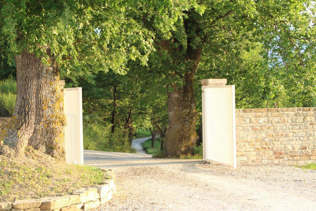 Amico Country House Serra San Quirico Exterior photo